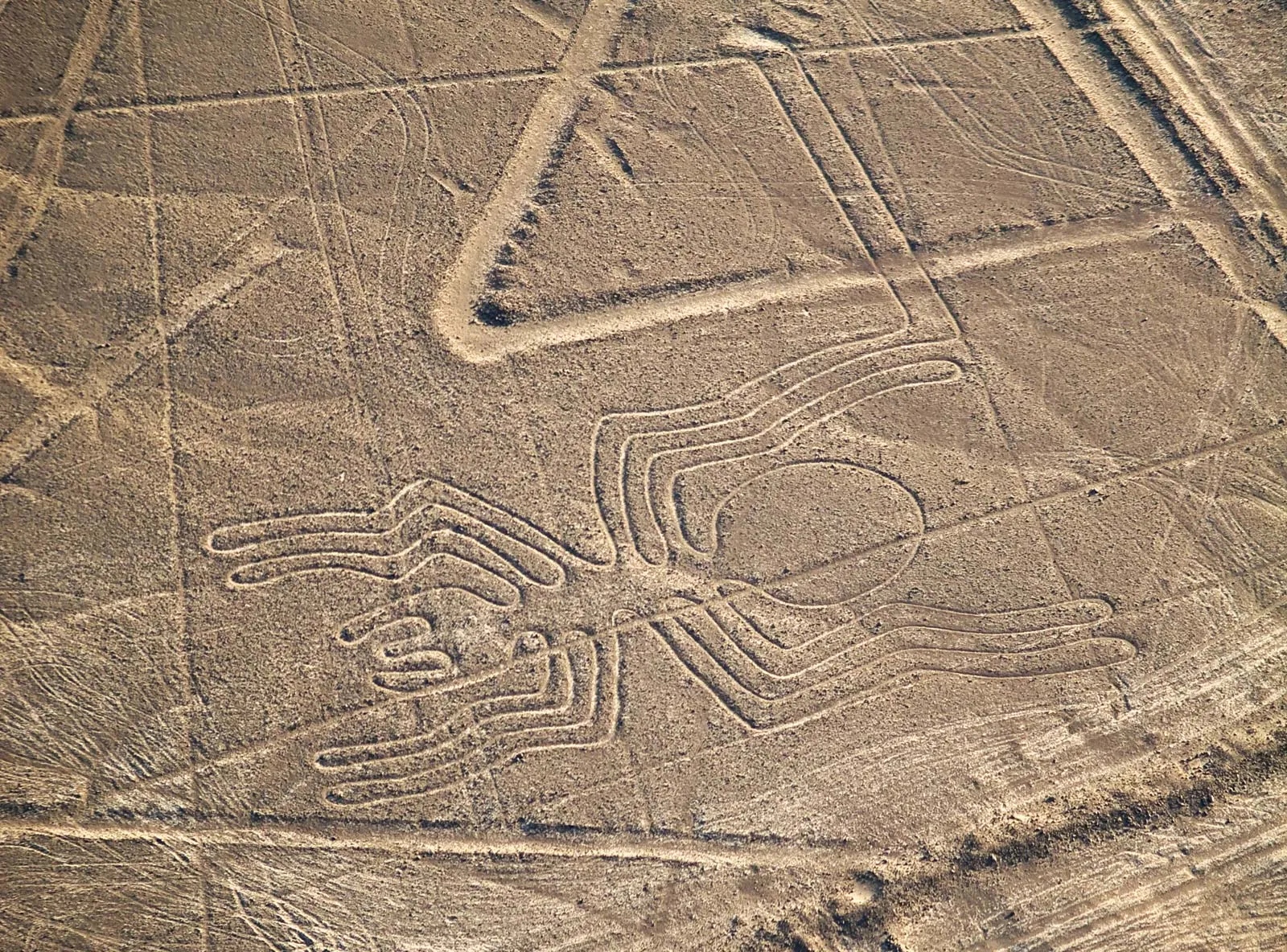 Spider shaped Nazca lines in Peru