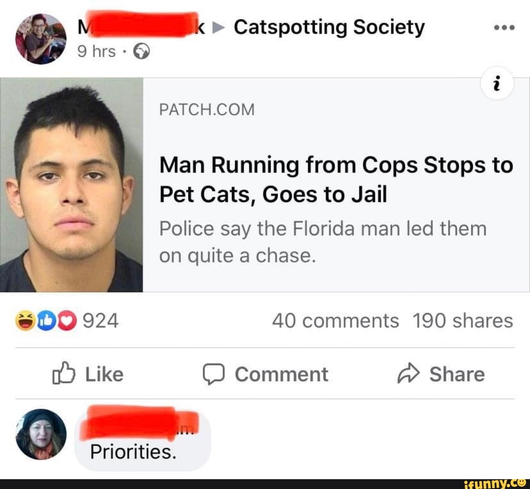 Florida Man Steals A Car, Gets Chased By Cops, Stops To Pet Cats And Gets Arrested