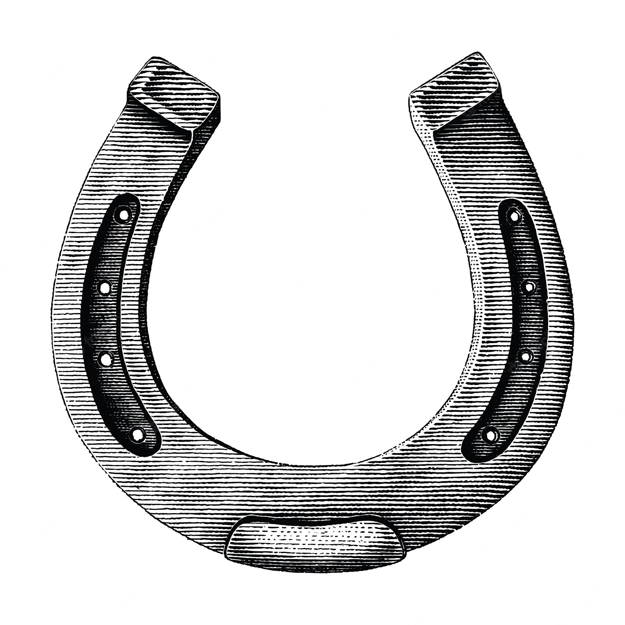 Digital illustration of horseshoe