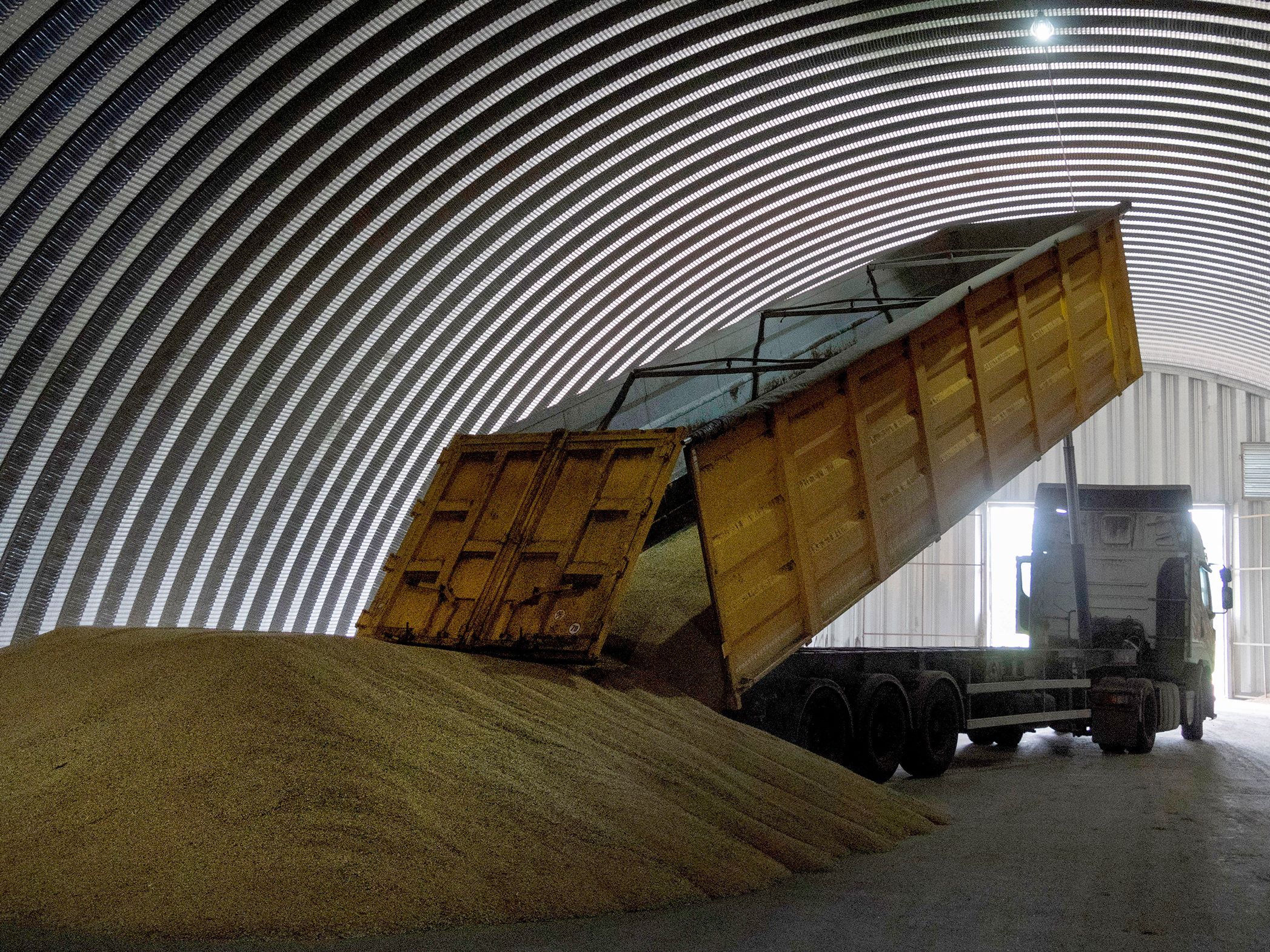 Poland And Hungary Impose Ban On Ukrainian Grain And Food Imports