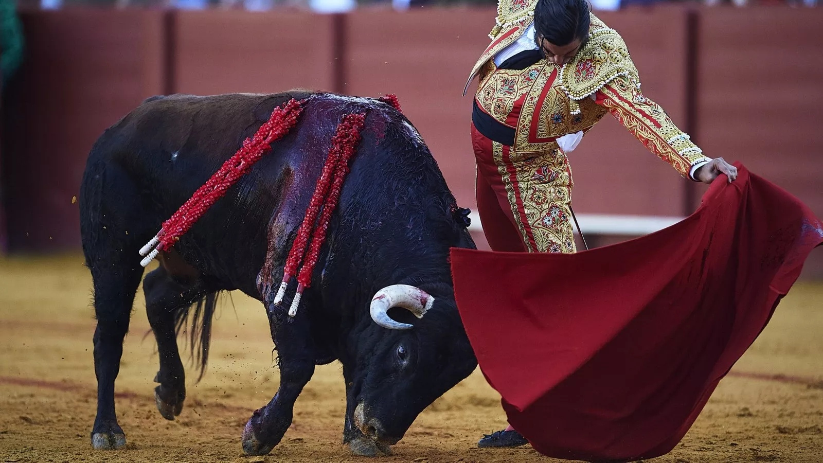 Matador Wipes Tears Away From Bull's Eyes Before Killing It In Shocking Footage