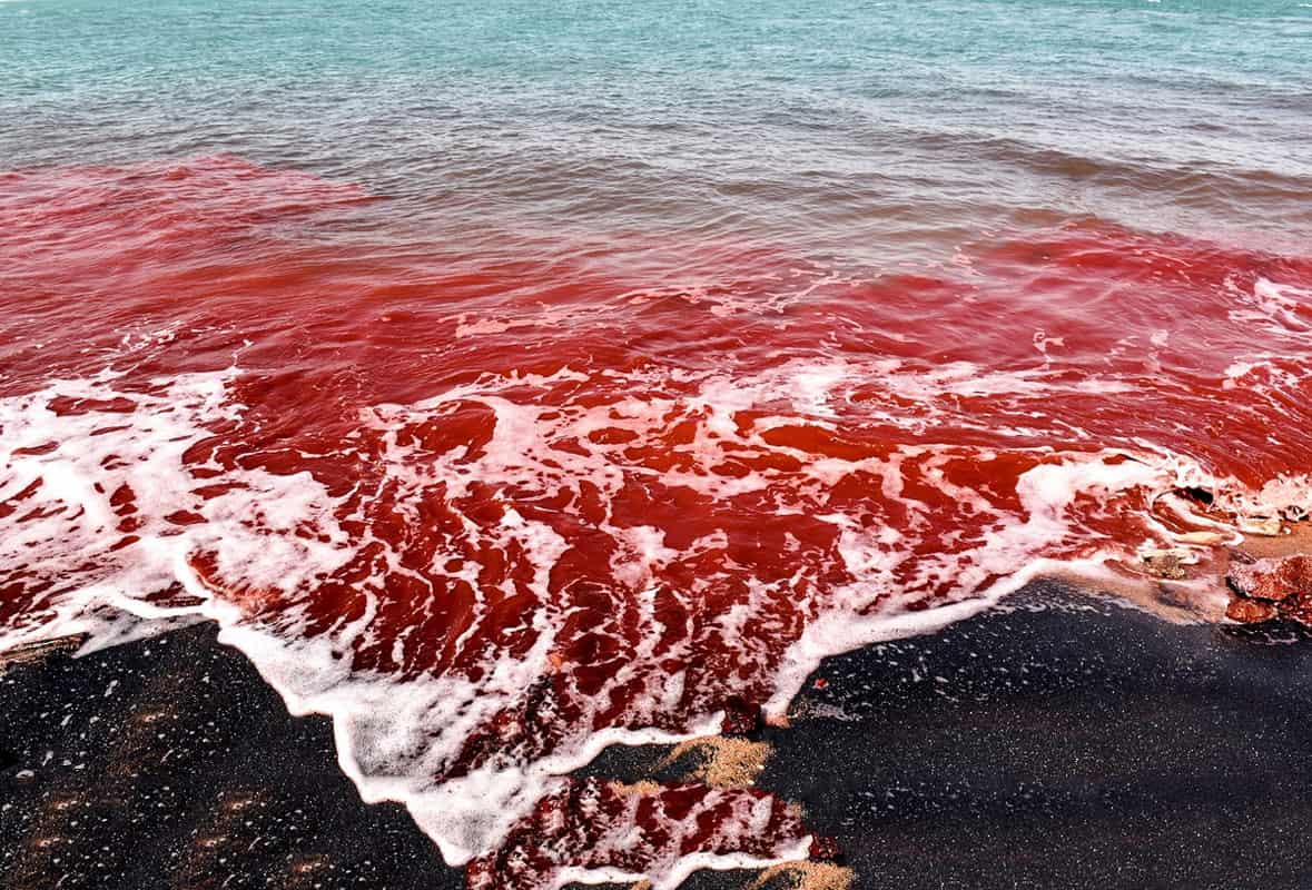 You Need To Visit This Bloody Red Beach In Hormuz Island, Iran