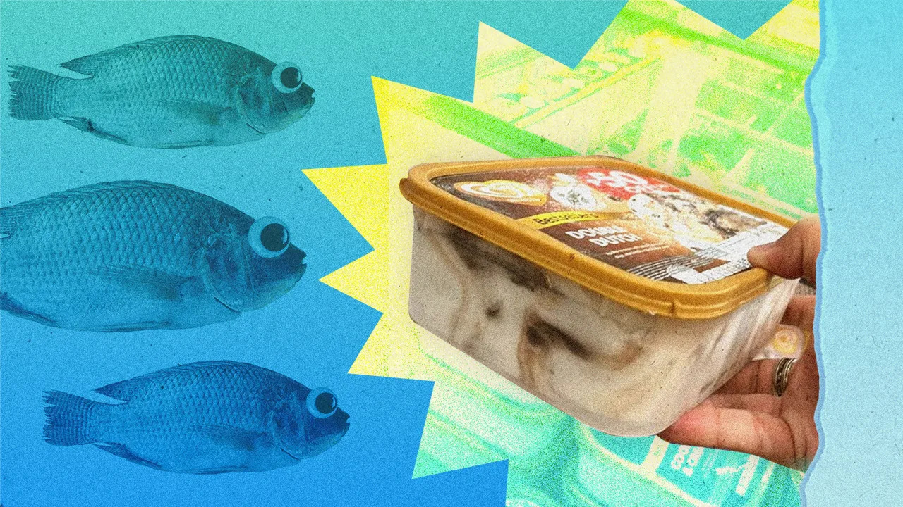 Say Goodbye To Tilapia Bait, Reusable Ice Cream Containers Get A Makeover