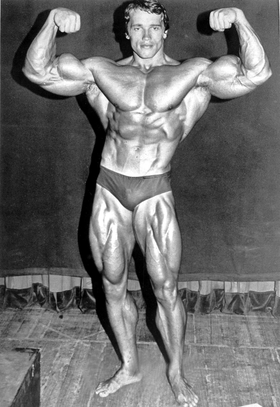 Arnold Schwarzenegger Bodybuilding Career