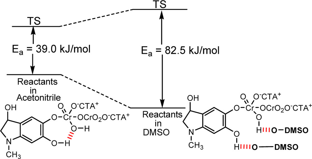 Oxidation of Epinephrine to Adrenochrome