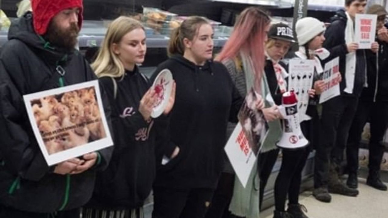 Vegan Activists Storm Into Waitrose And Form Human Chain Around Murdered Turkeys