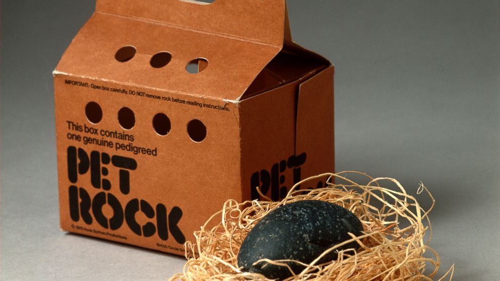 Pet Rock box and a black pet rock