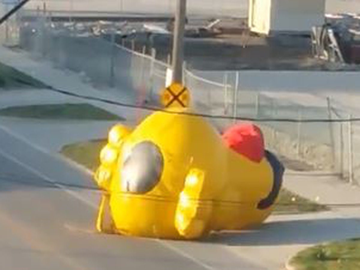Giant Inflatable Duck Breaks Free And Rolls Down Street During Parade
