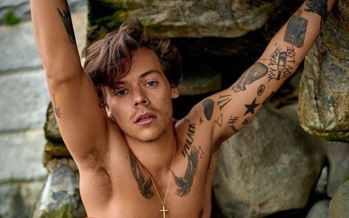 Harry Styles Nude - Star Impact On Gender-Fluid Fashion And The Future Of Menswear