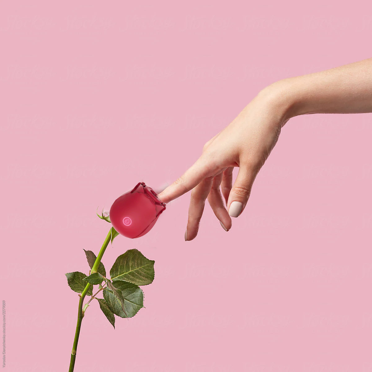 How Does The Rose Toy Work - Satisfy Your Flower Like Never Before