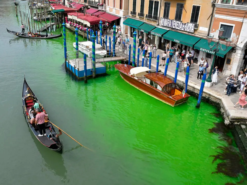 Venice Canal Turns Fluorescent Green, Prompting Police Investigation