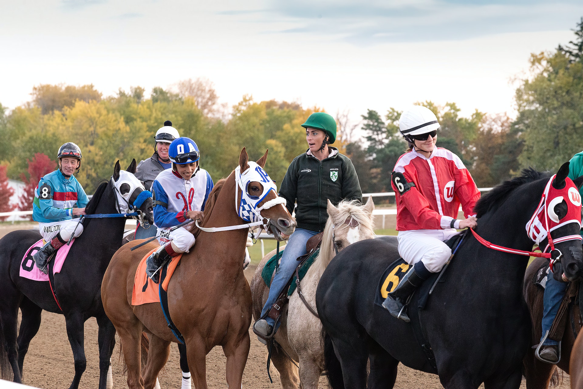 Pick 3 Horse Racing - Unleashing Your Betting Skills
