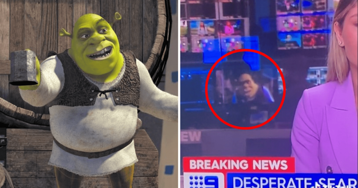 Staff Caught Watching 'Shrek' During Live News Broadcast Goes Viral