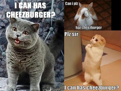 I Can Has Cheezburger? Cat Meme