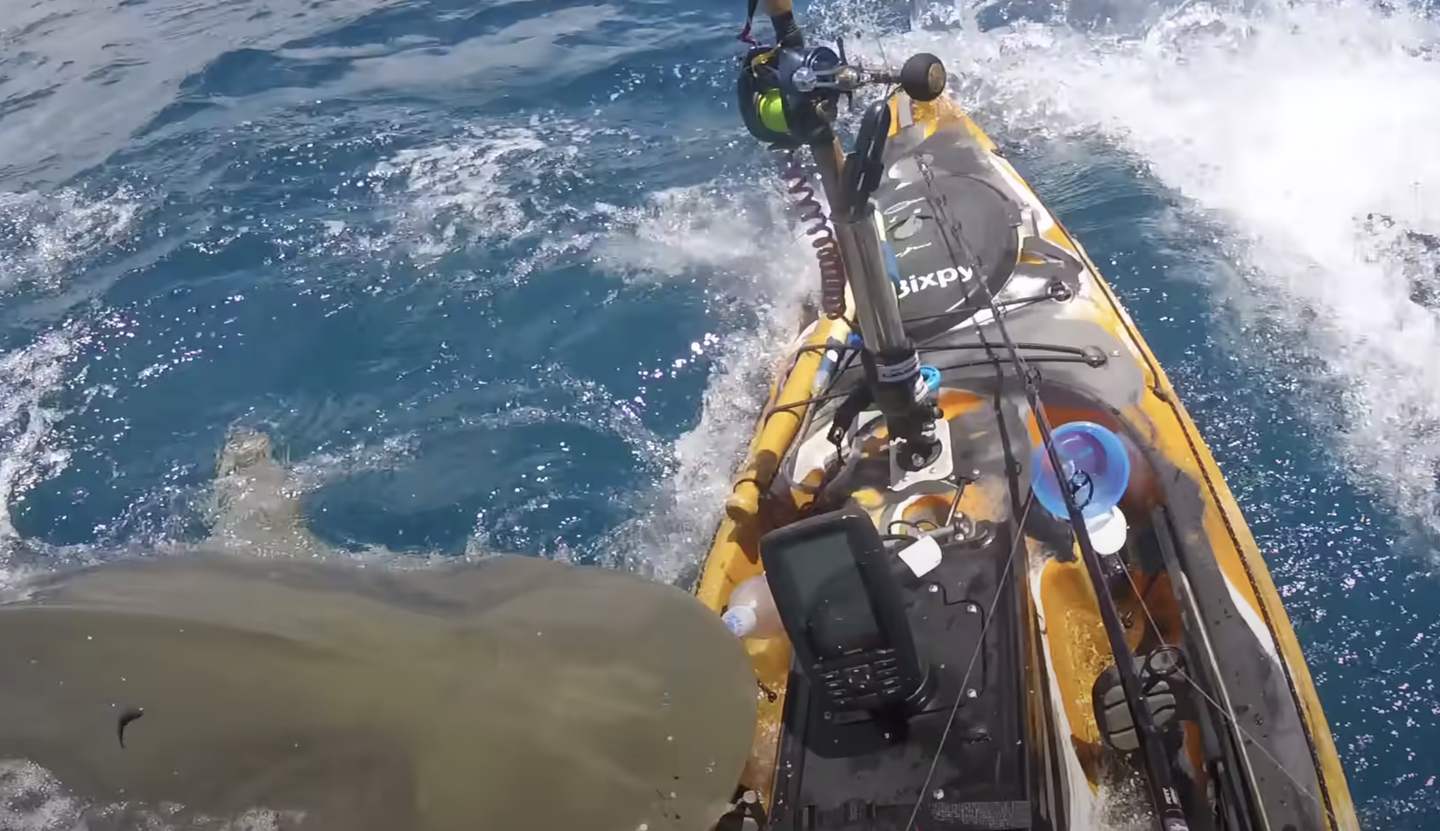 Fisherman On Kayak Attacked By Tiger Shark After Hearing Whooshing Noise