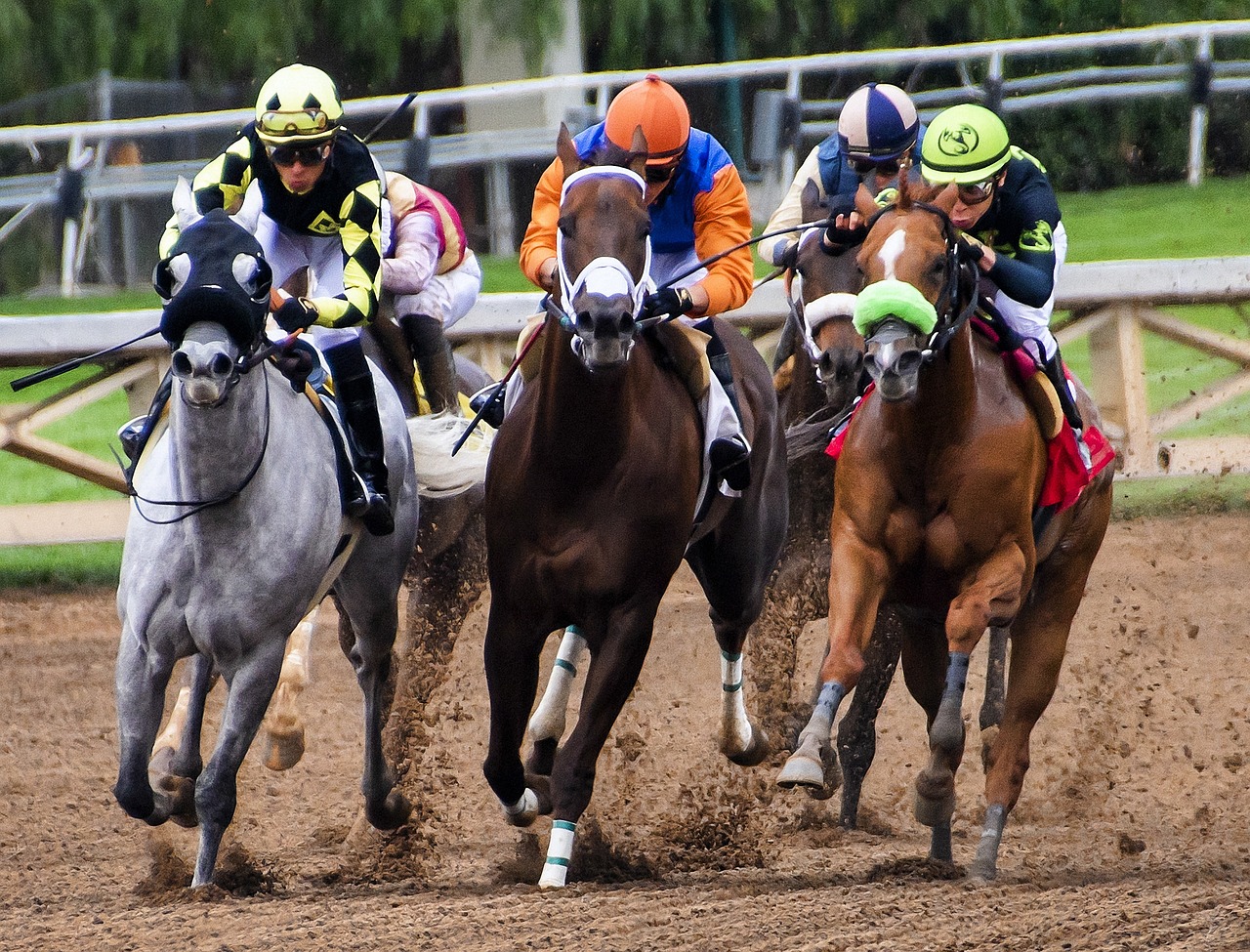 Win, Place Show Strategy - Maximizing Your Chances Of Payout In Horse Racing