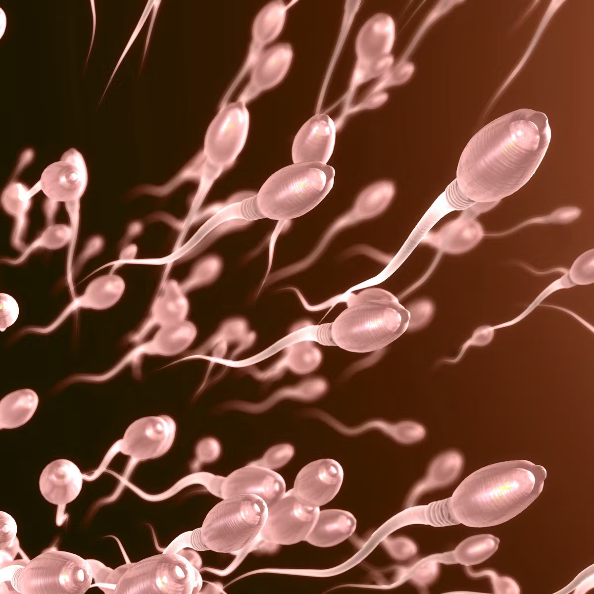 A Depiction Of Sperm