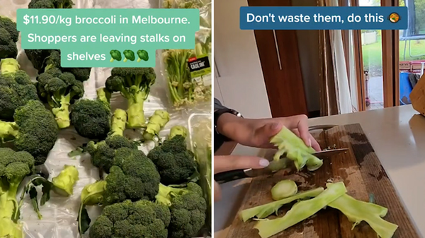 Jenn Shaw's tiktok post on how to utilize broccoli stems