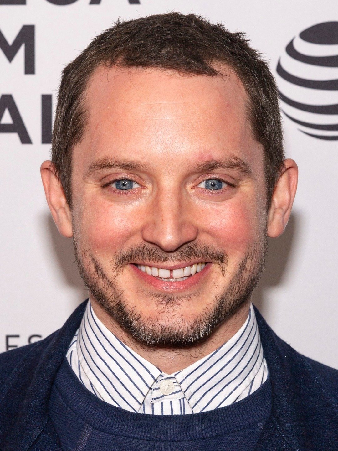 Elijah Wood - Best Known For Playing Frodo Baggins In LOTR Movie Trilogy