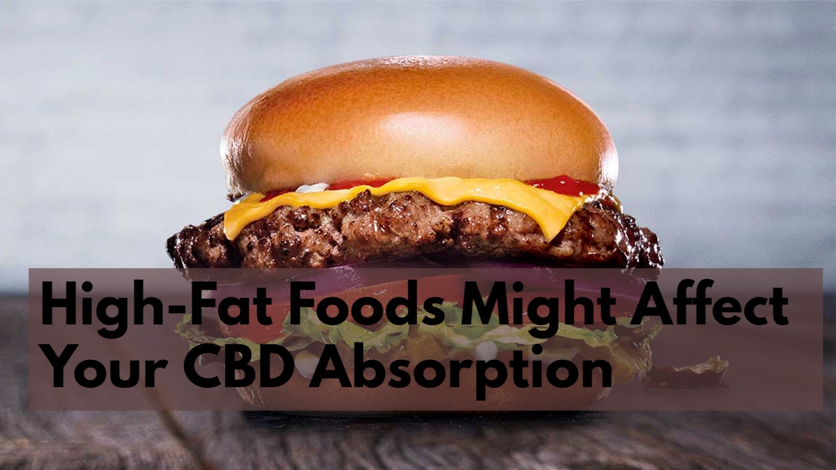 High-Fat Foods Might Affect Your CBD Absorption