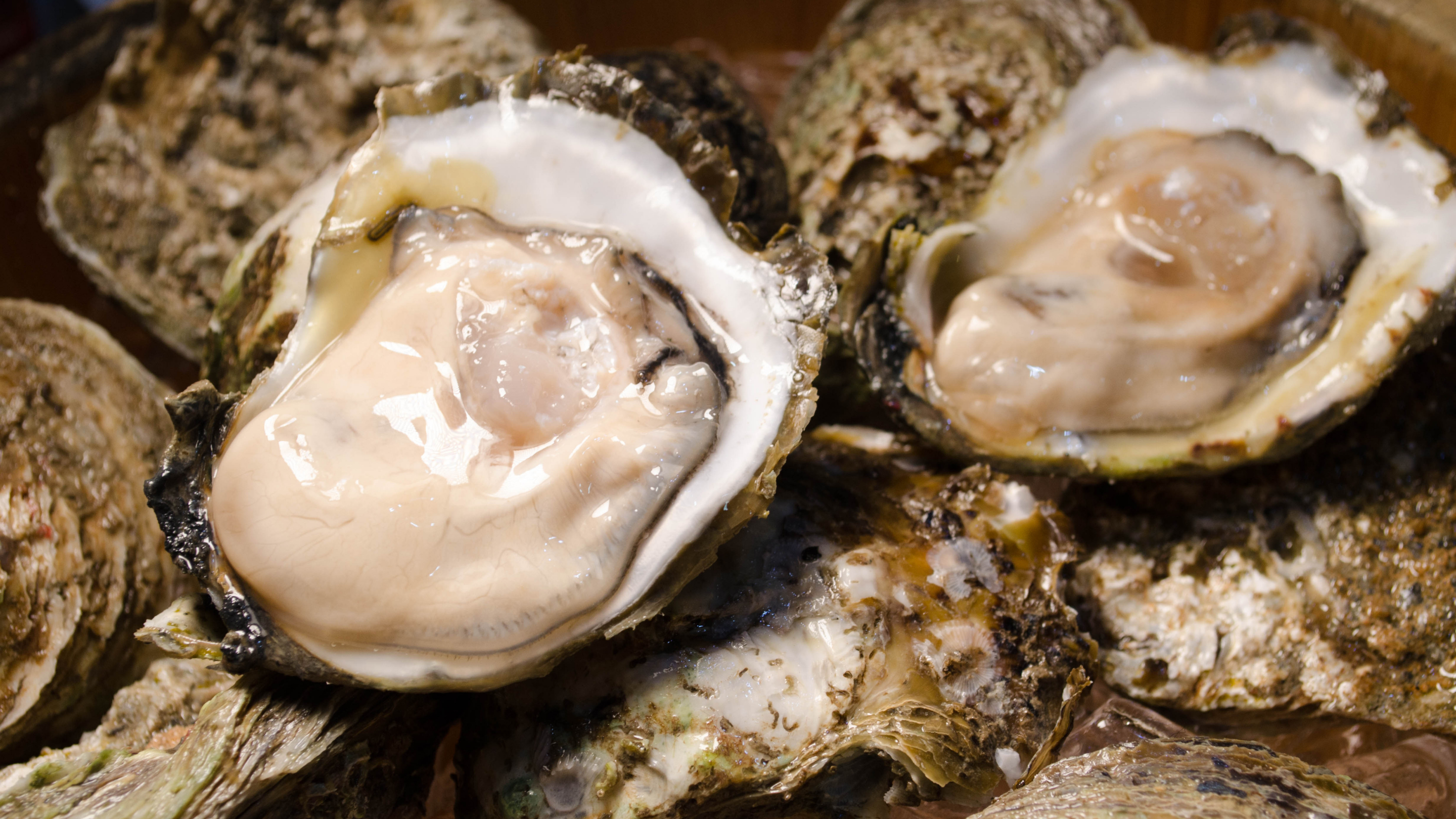 Missouri Man Dies Of Flesh Eating Bacteria After Eating Raw Oysters