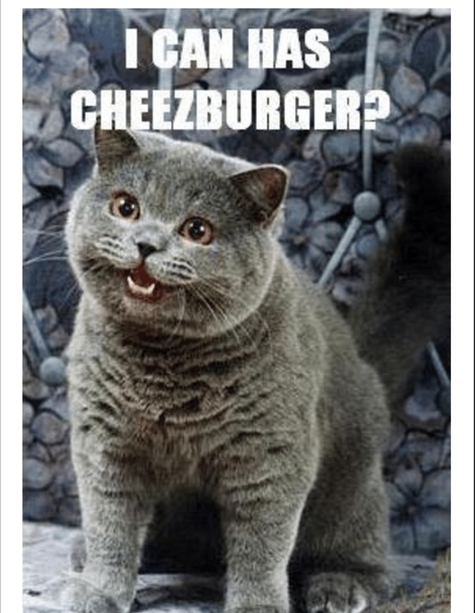 I Can Has Cheezburger? meme