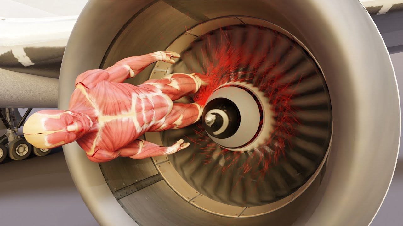 A person being sucked into a jet airplane engine.