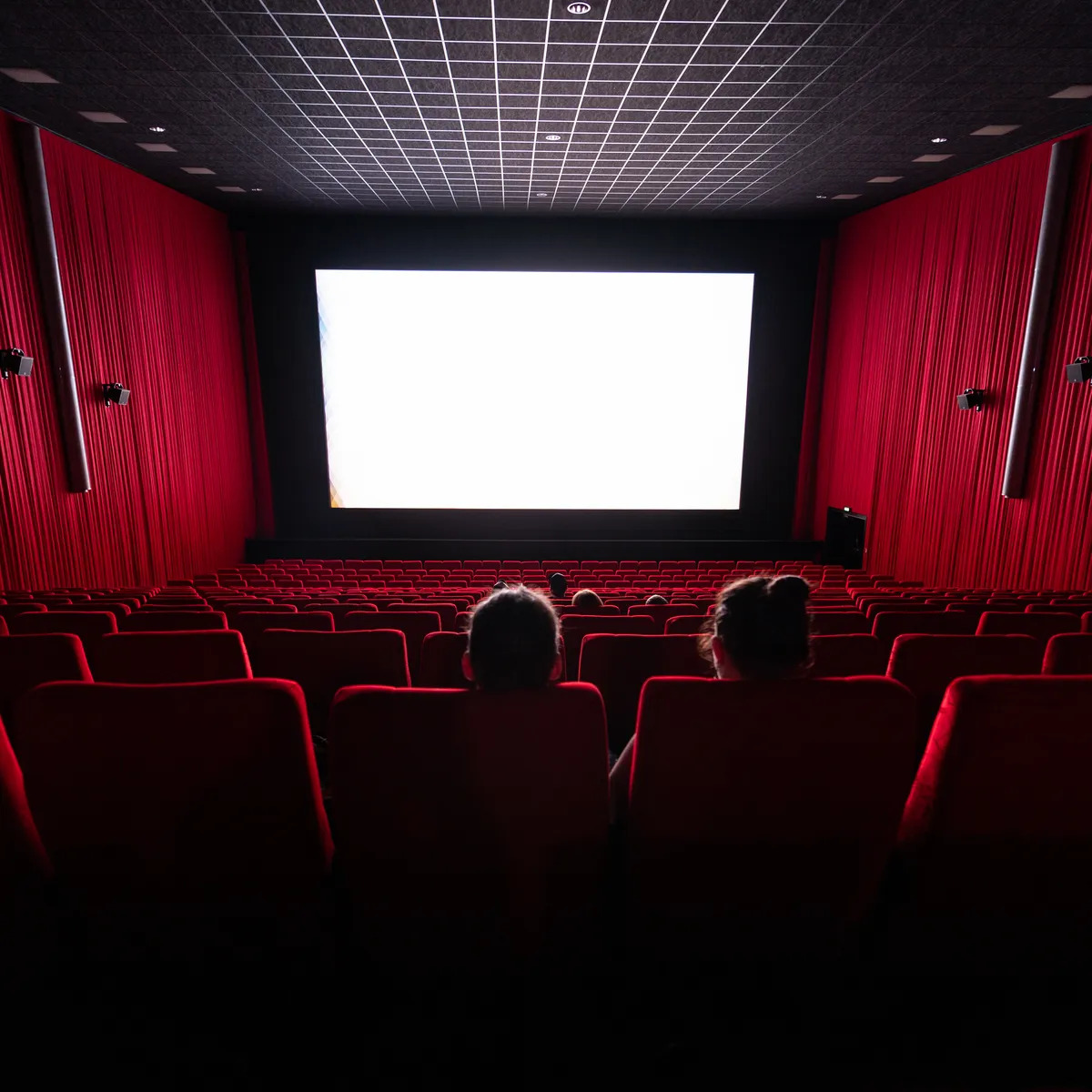 People seated in a cinema.