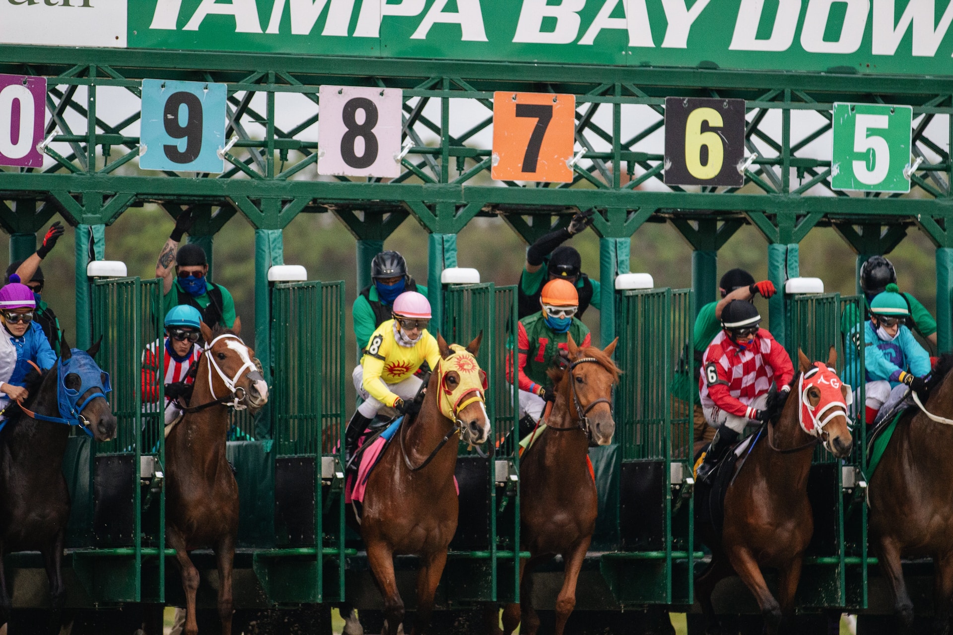 What Does Place Mean In Horse Racing? A Betting Insight
