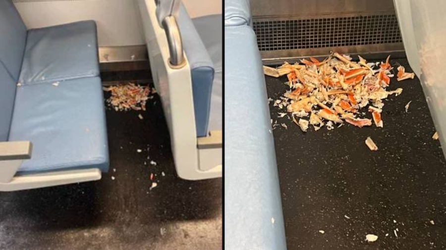 People Are Disgusted After Passenger Eats Crab Legs On A Train And Then Leaves The Mess There