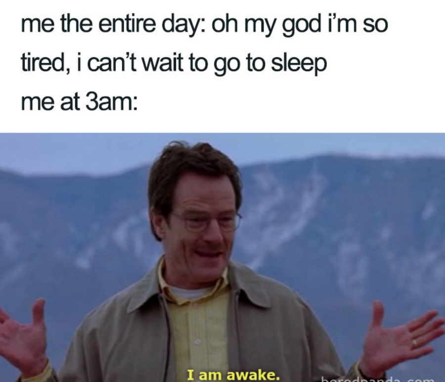 "Me at 3 A.M: I am awake" meme