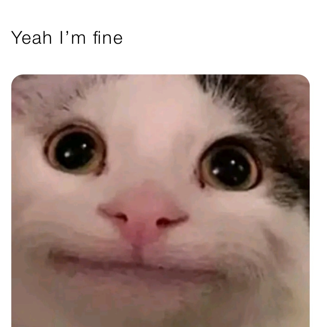 Funny cat I M Fine meme