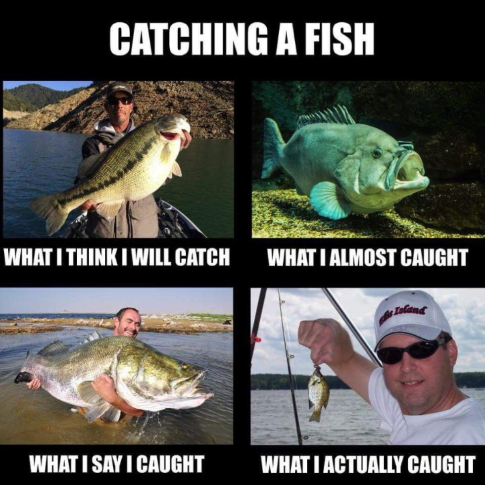 Catching a fish expectation vs. reality meme