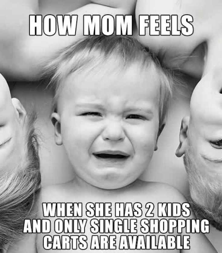 Funny Shopping with Kids meme