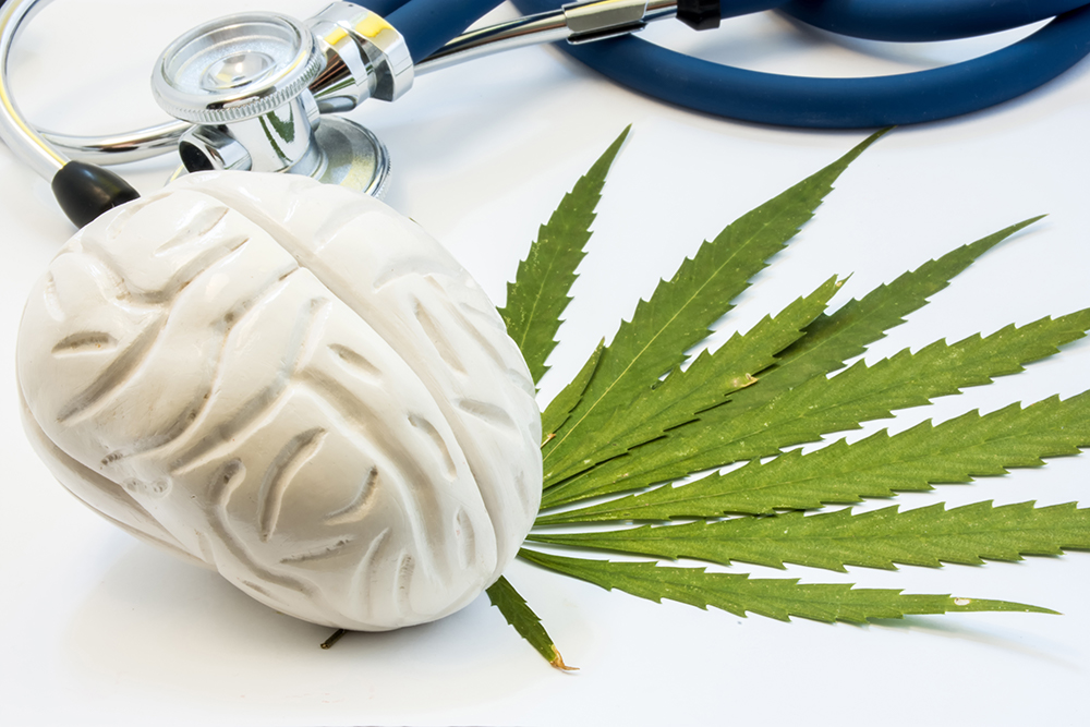 Positive And Negative Effect Of Cannabinoids On The Brain