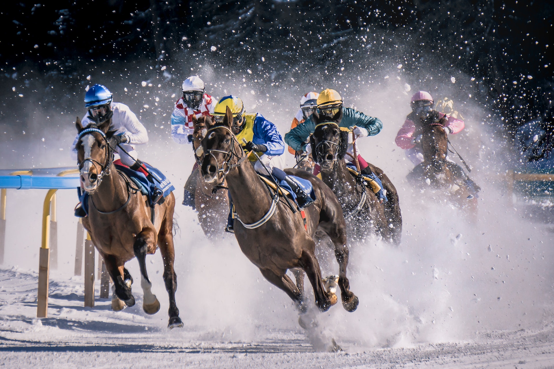 Maximize Your Chances Of Winning With A 4 Horse Trifecta Box Bet