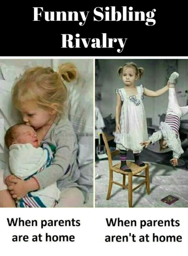 Funny Sibling rivalry meme