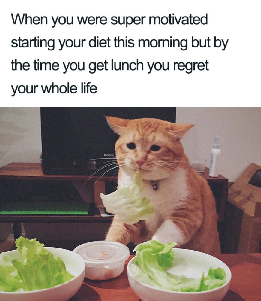 Funny Dieting meme