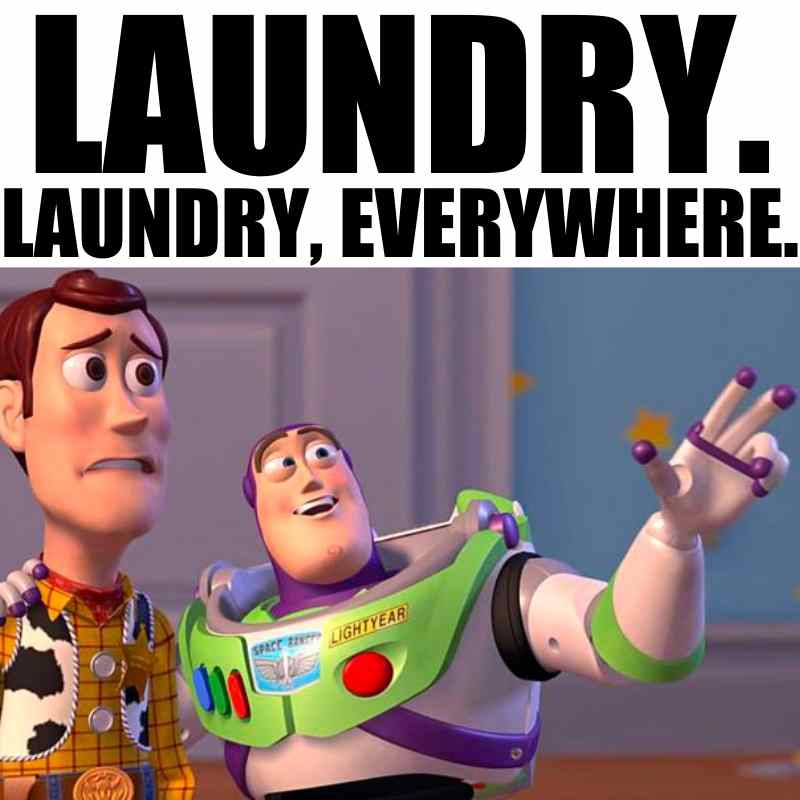 Toy Story themed Laundry Day meme