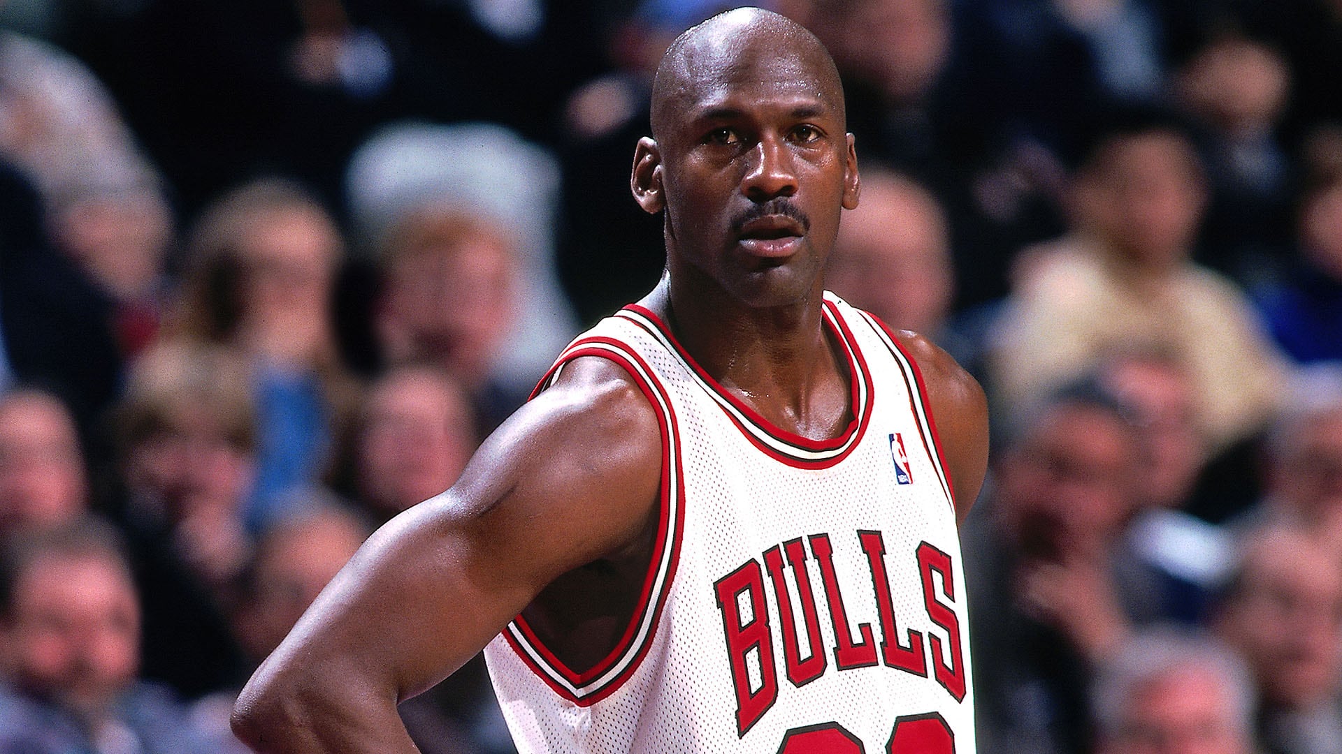 Michael Jordan Net Worth 2023 - A Billionaire's Legacy From Hoops To Wealth