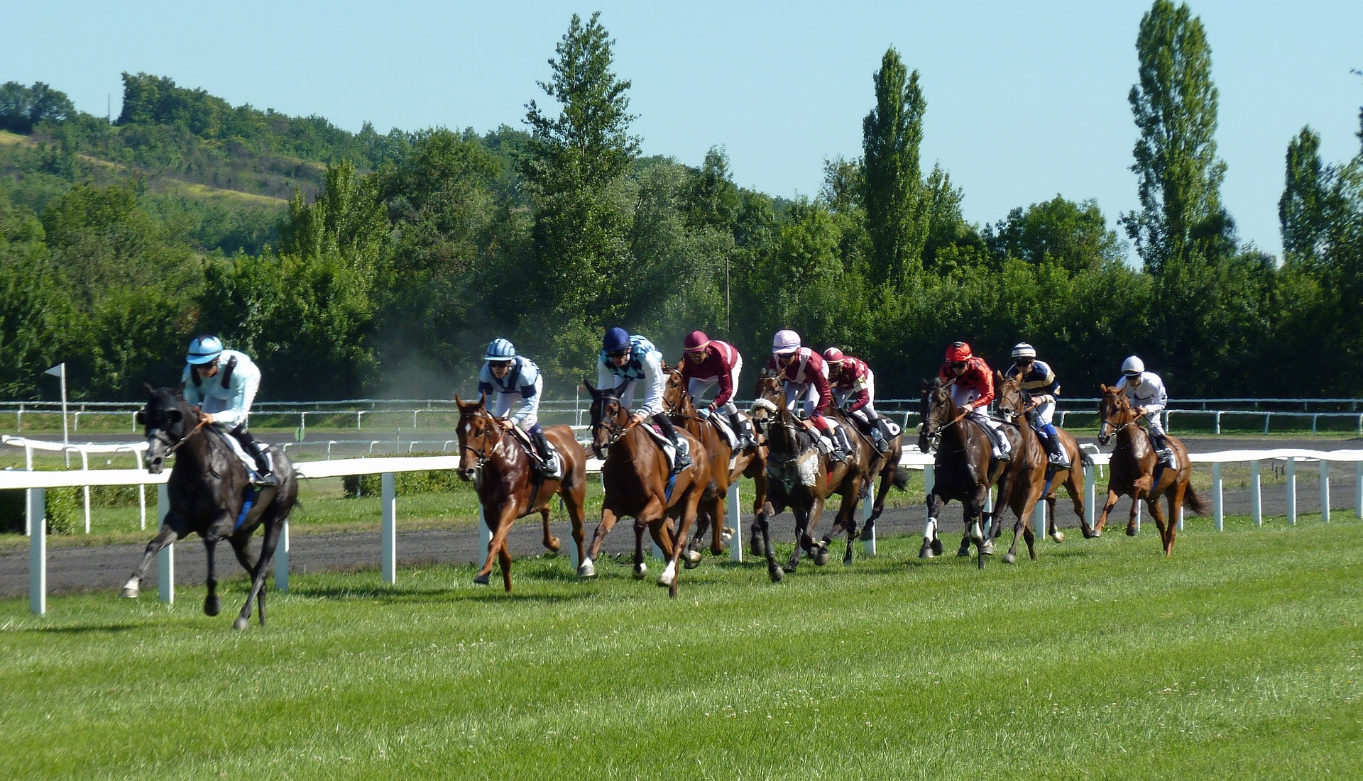 Horses are running on grassy race track.
