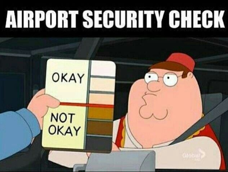 Airport Security Check meme template