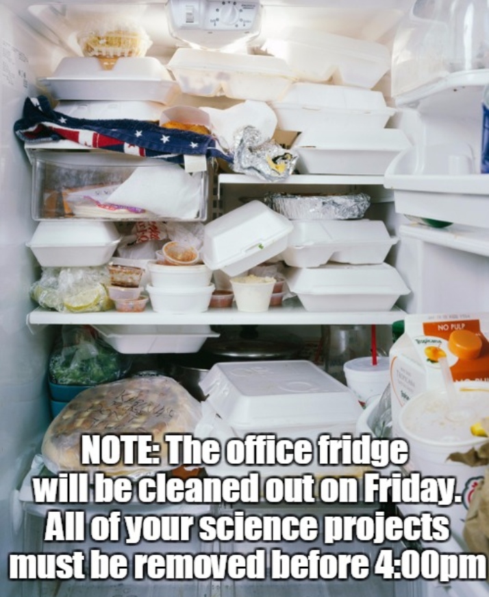 Relatable Office Fridge meme