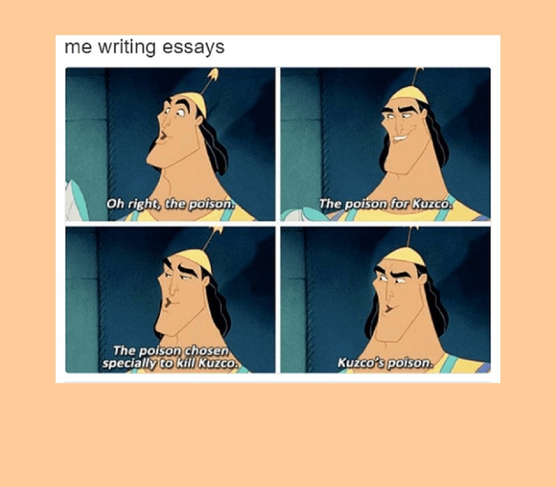 Me writing essays meme