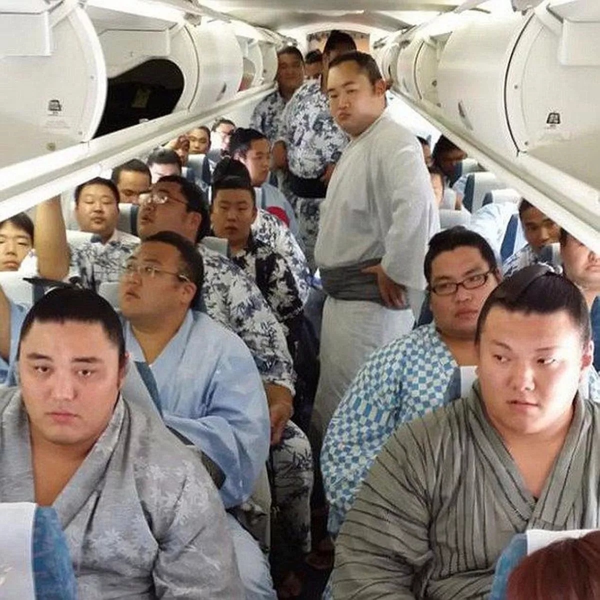 Japanese Airline Forced To Put On Extra Flights As Sumo Wrestlers Overload Planes