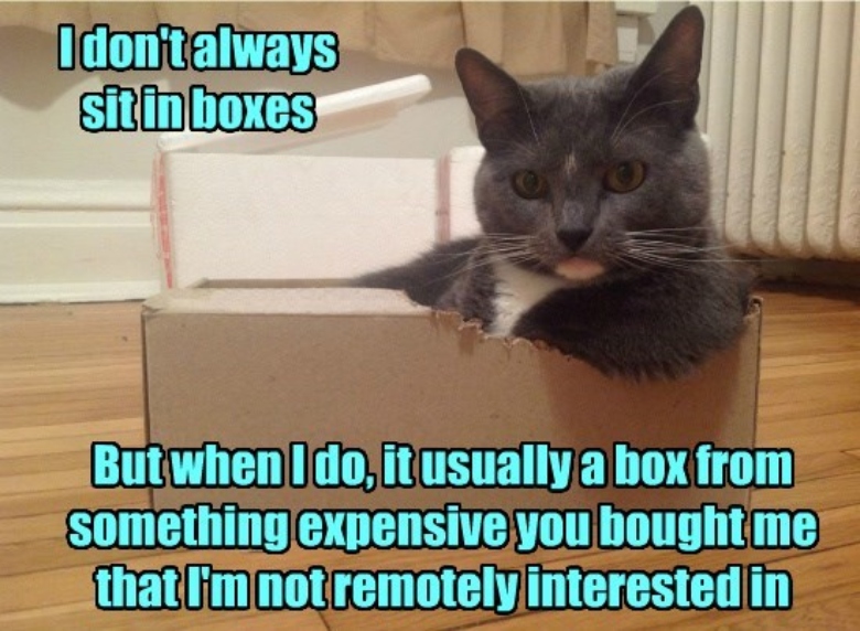 Black cat in small box meme