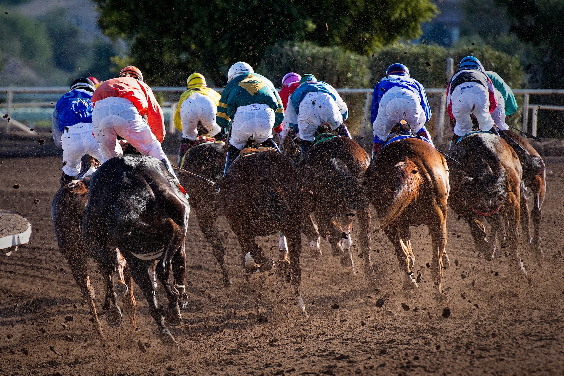 Unlocking The Secrets Of Key Bet In Horse Racing