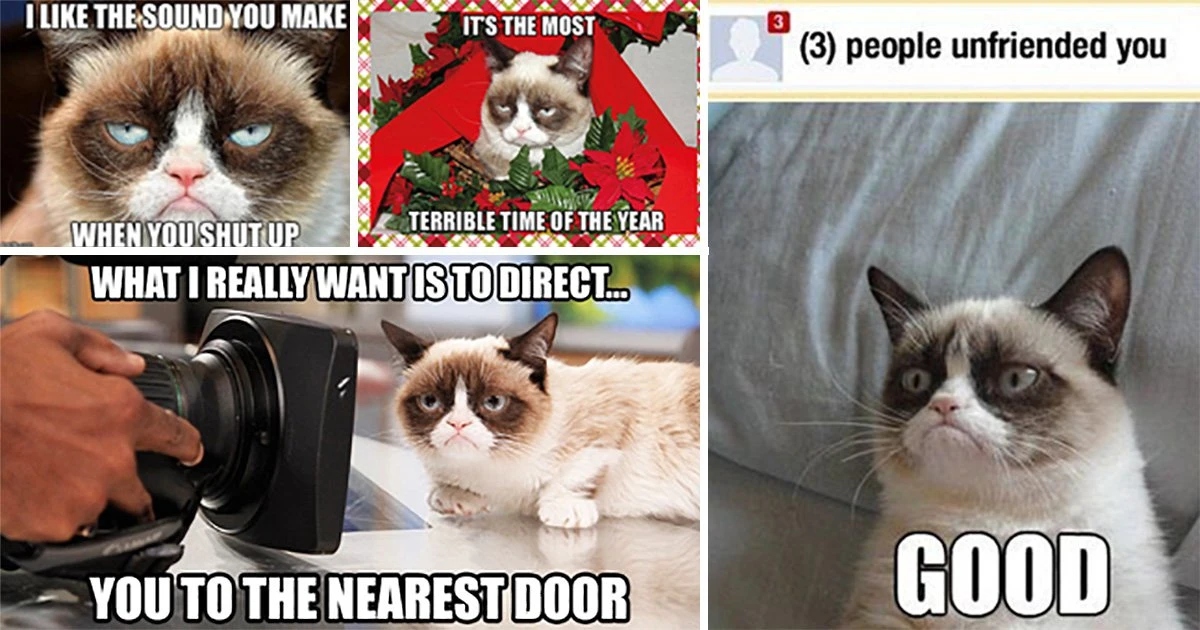 Grumpy Cat meme examples