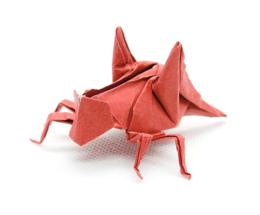 A red paper frog