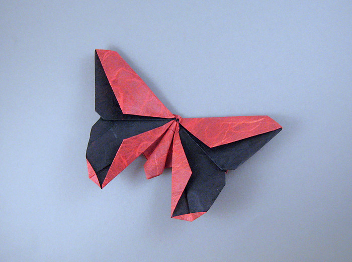 A butterfly made of paper